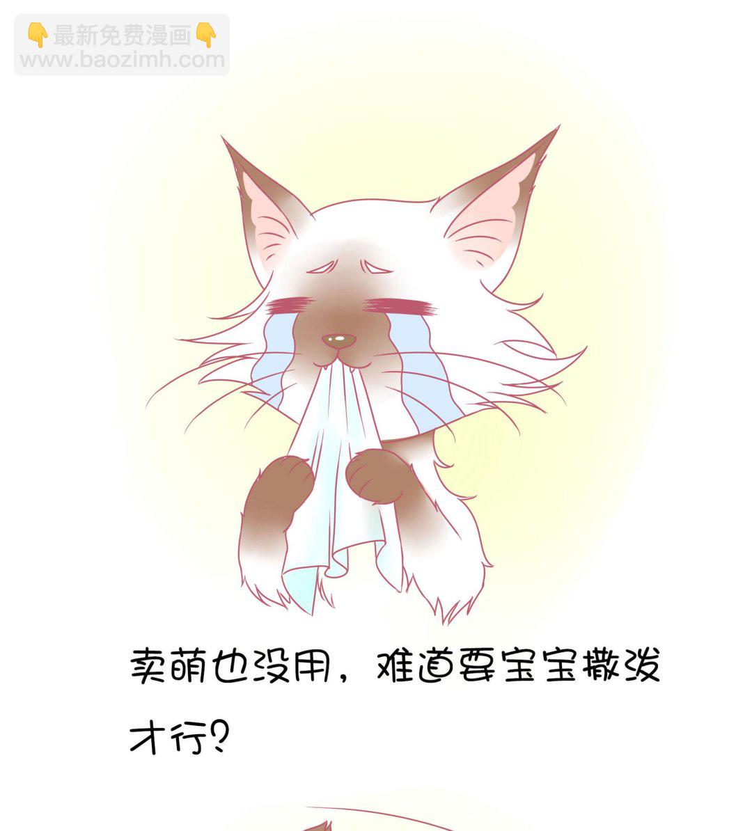 第12话 友谊的小船翻了-第12话