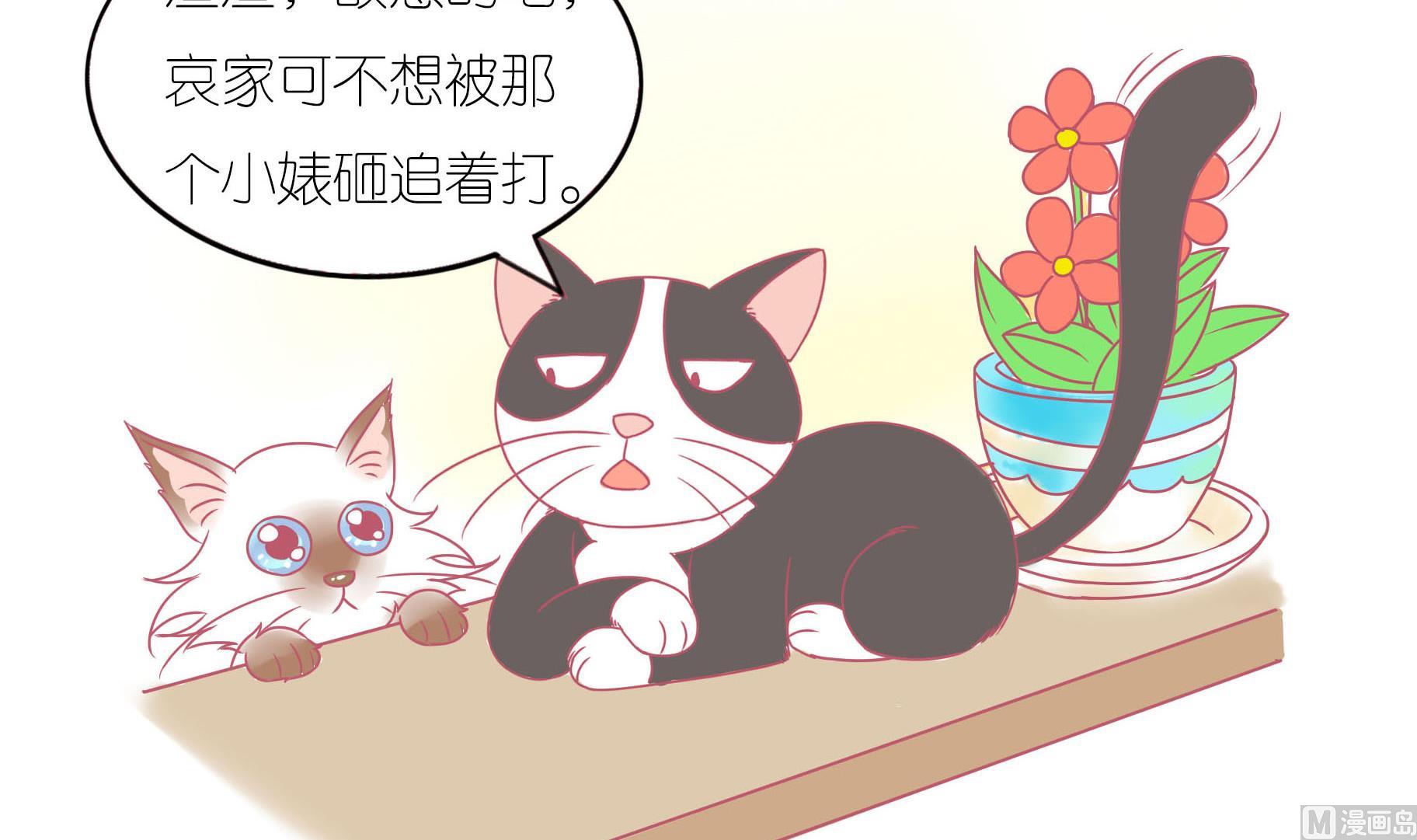 第12话 友谊的小船翻了-第12话