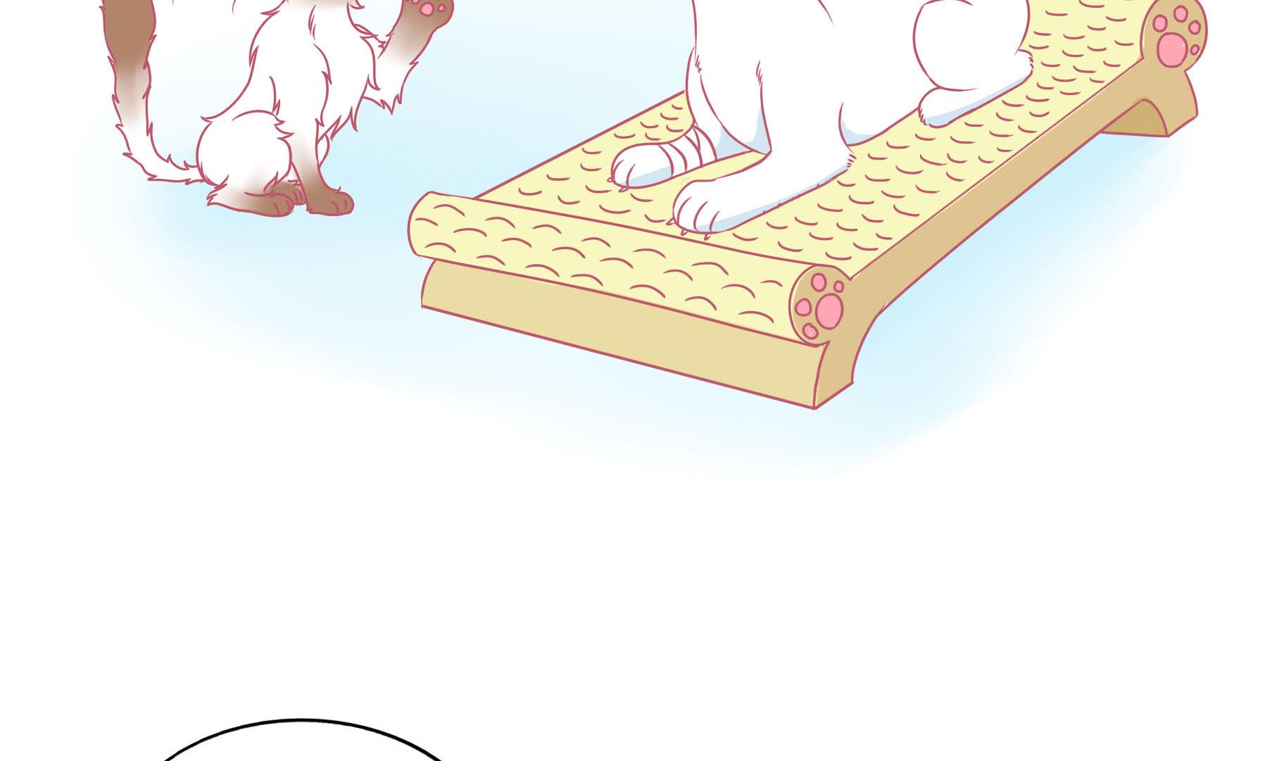 第12话 友谊的小船翻了-第12话