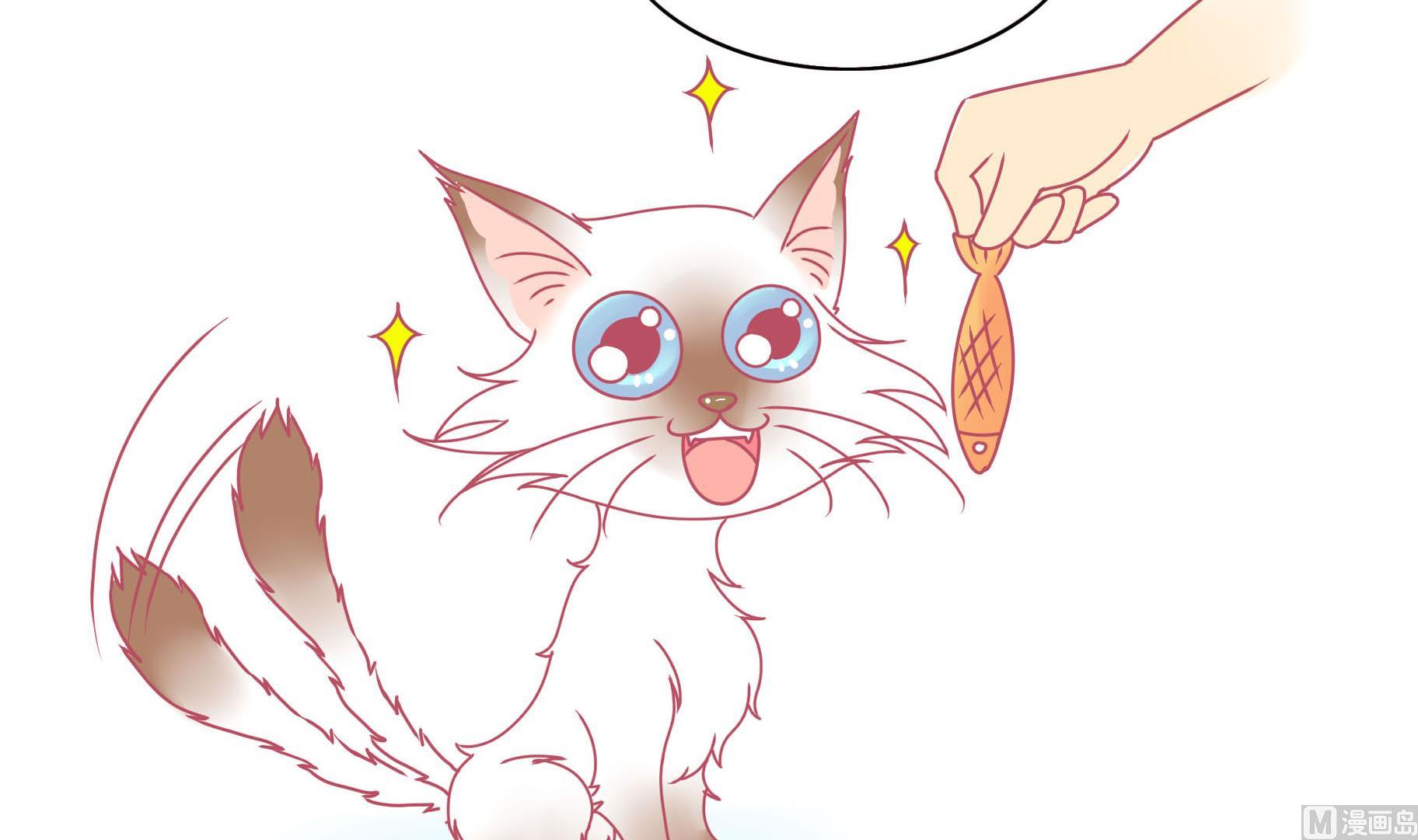 第14话 失落的嗨弟 1-第14话