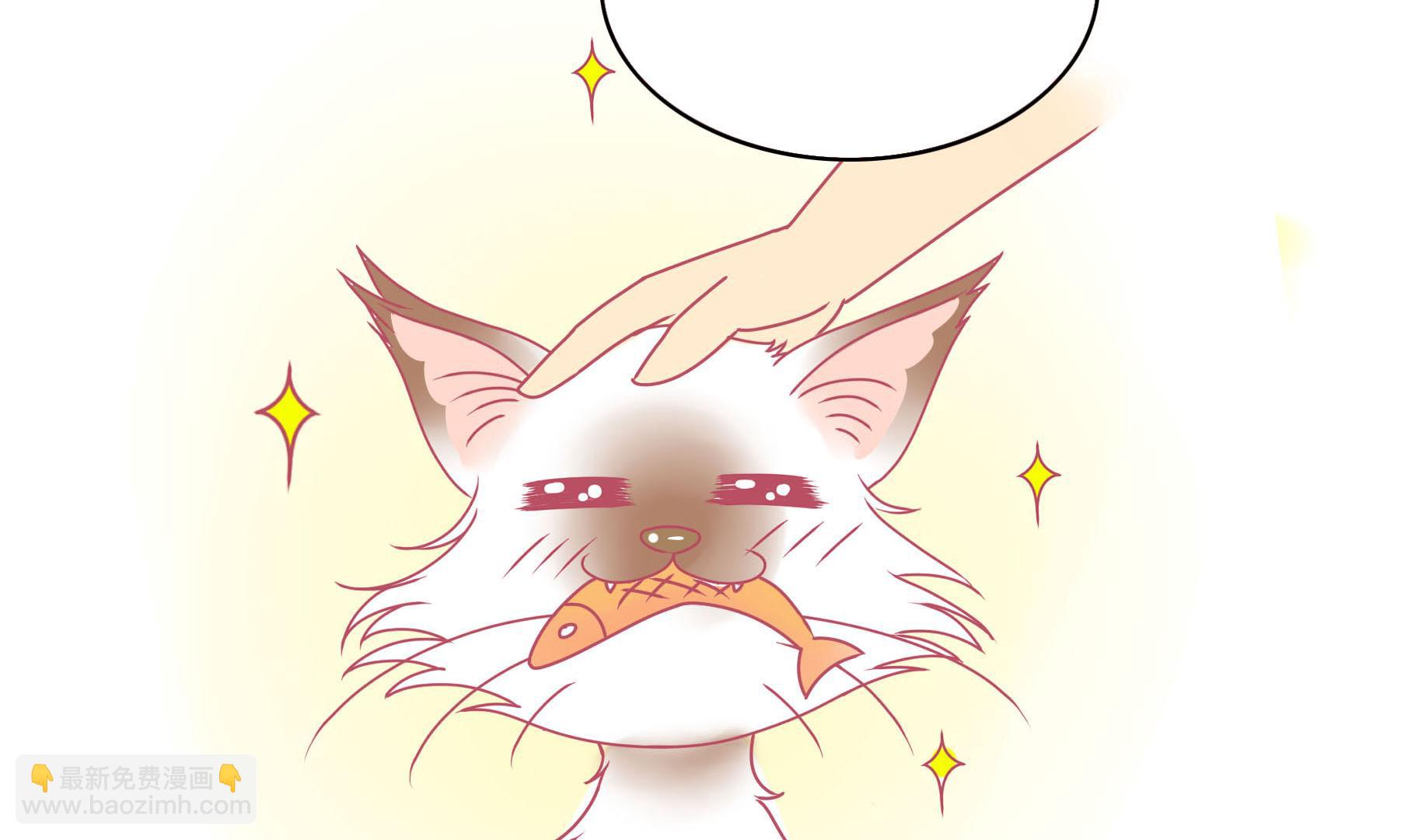 第14话 失落的嗨弟 1-第14话