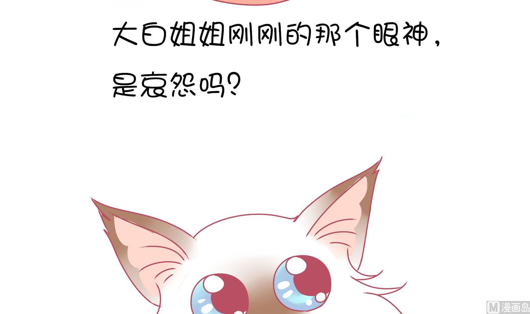 第14话 失落的嗨弟 1-第14话