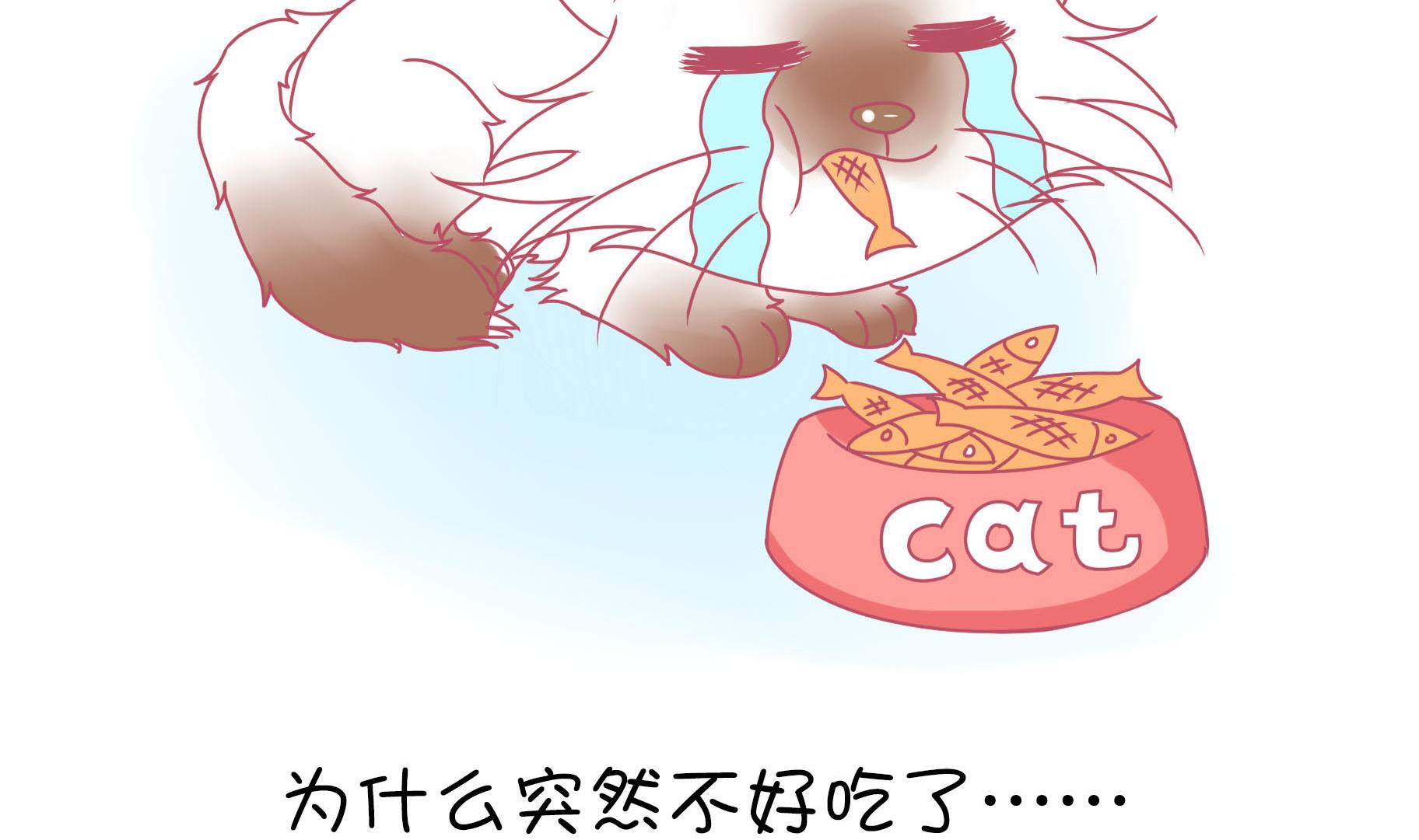 第14话 失落的嗨弟 1-第14话