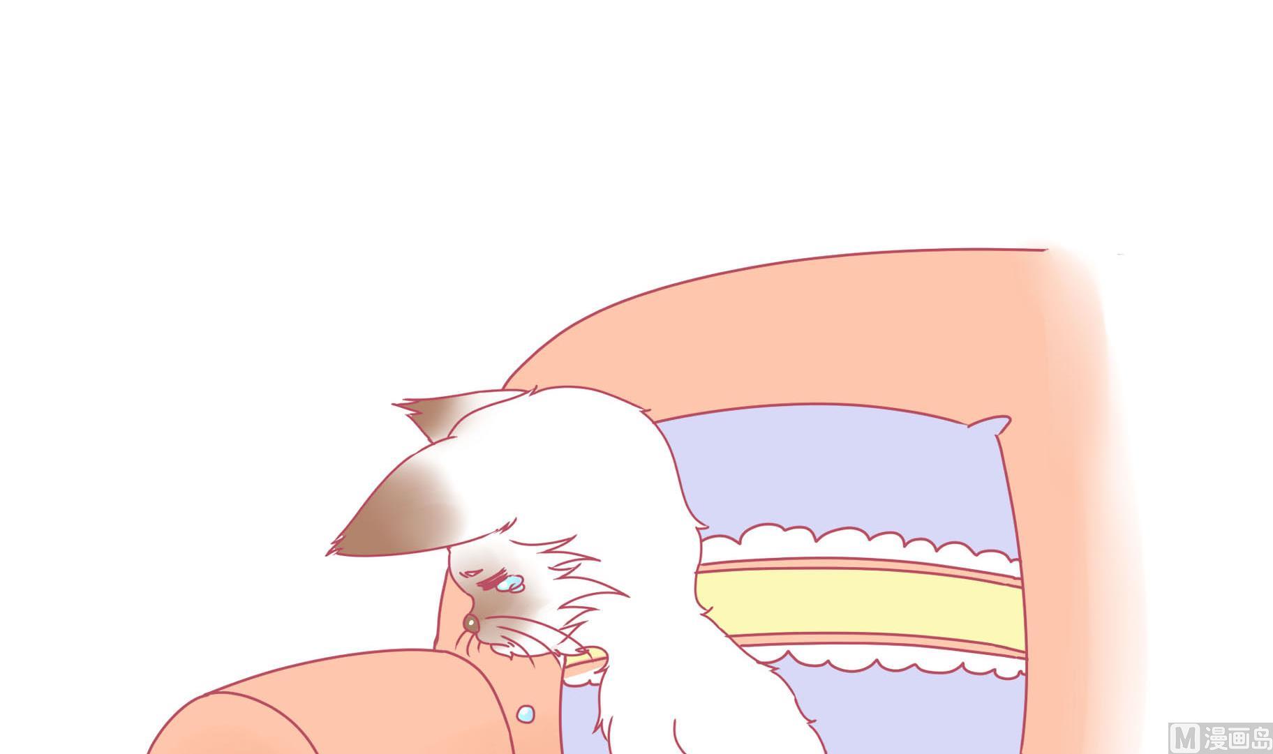 第14话 失落的嗨弟 1-第14话