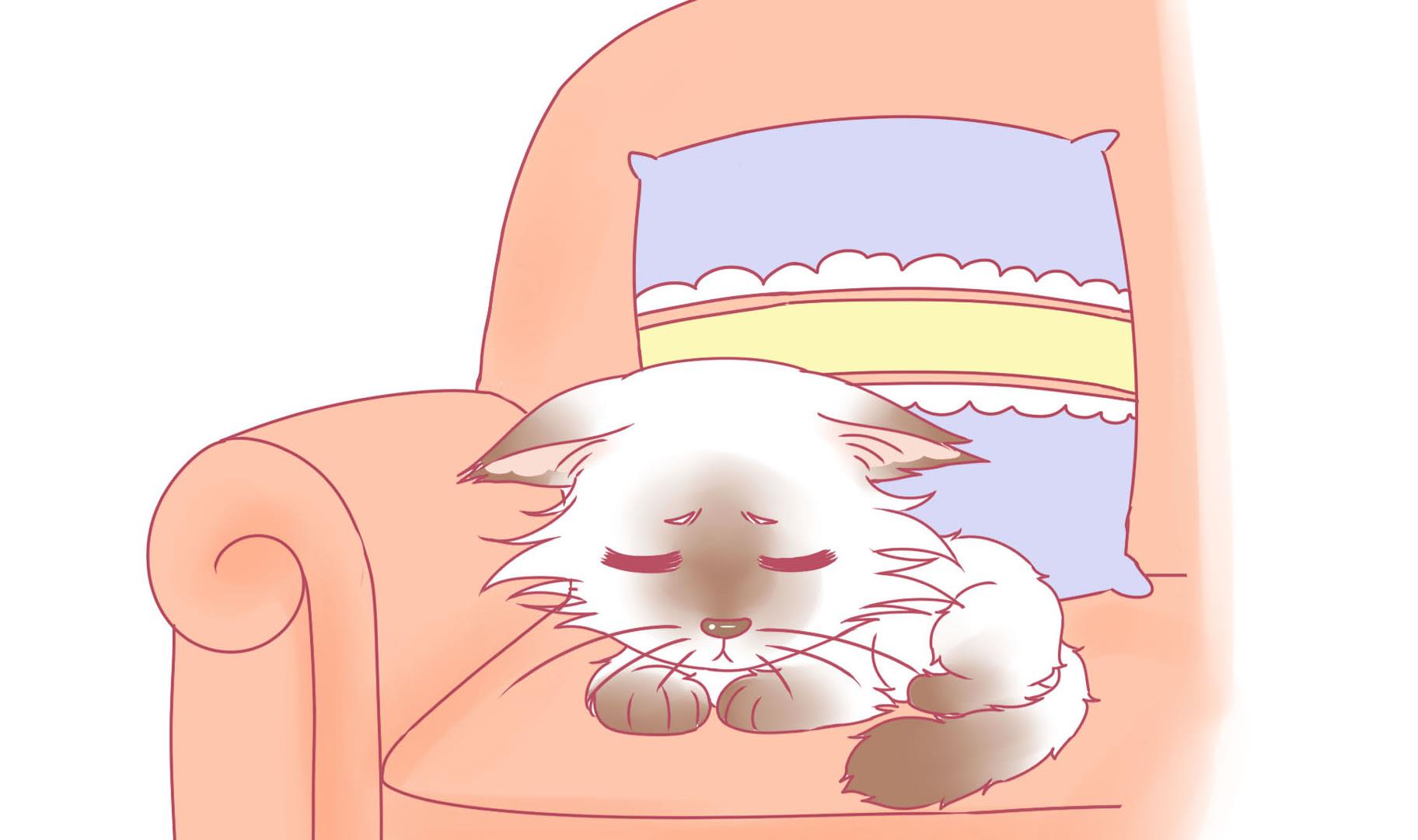 第14话 失落的嗨弟 1-第14话