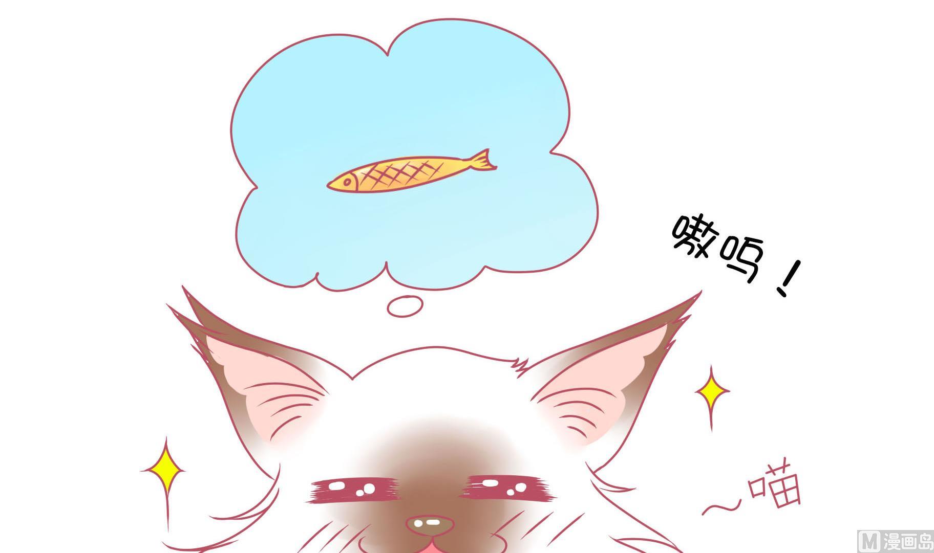 第14话 失落的嗨弟 1-第14话