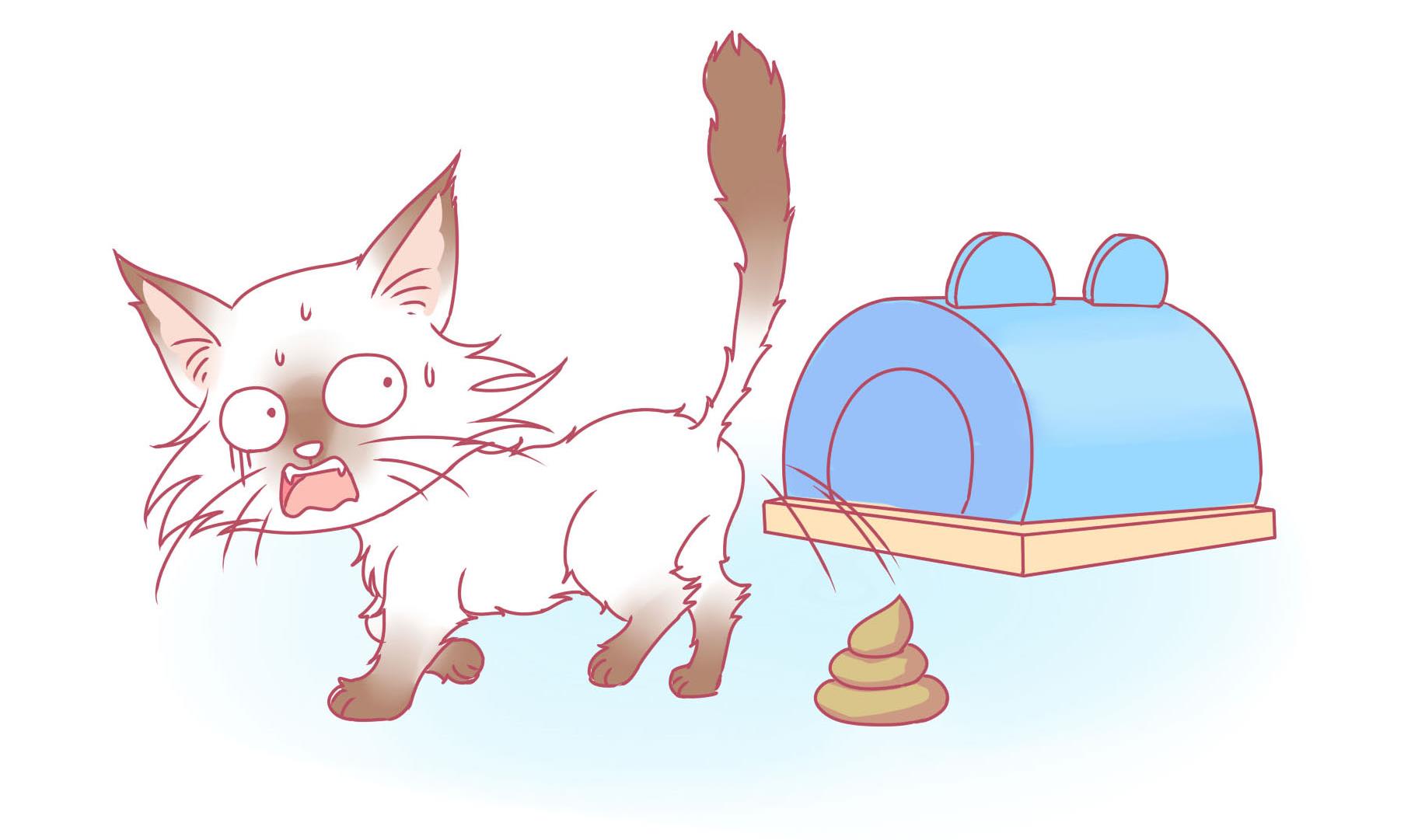 第14话 失落的嗨弟 1-第14话