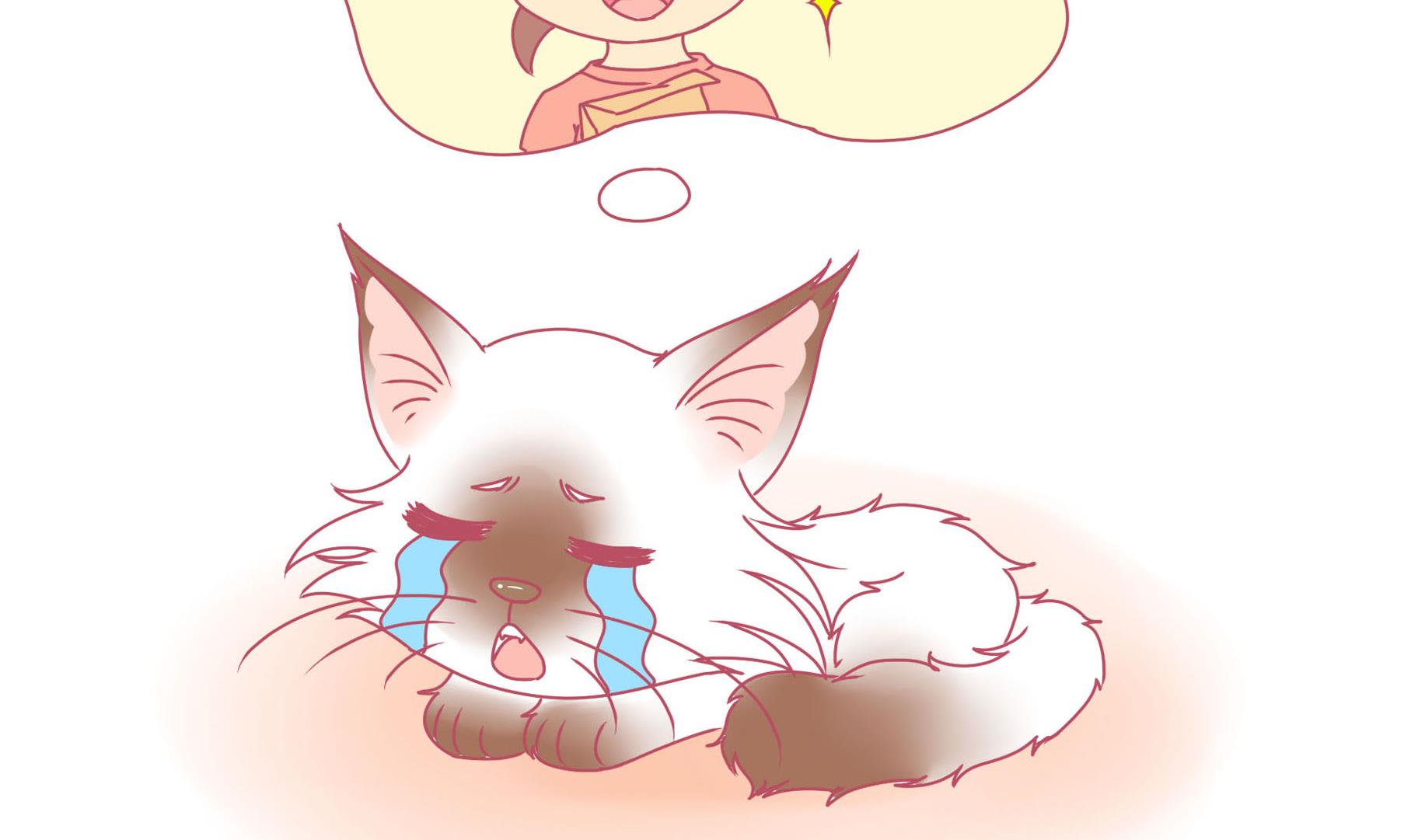 第14话 失落的嗨弟 1-第14话