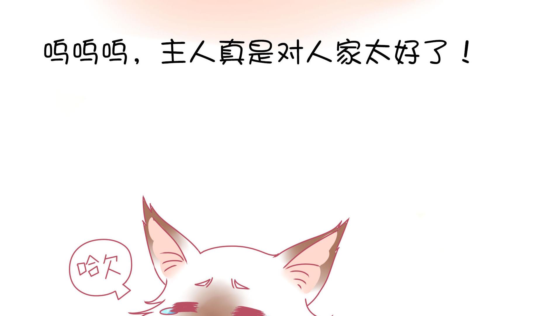 第14话 失落的嗨弟 1-第14话