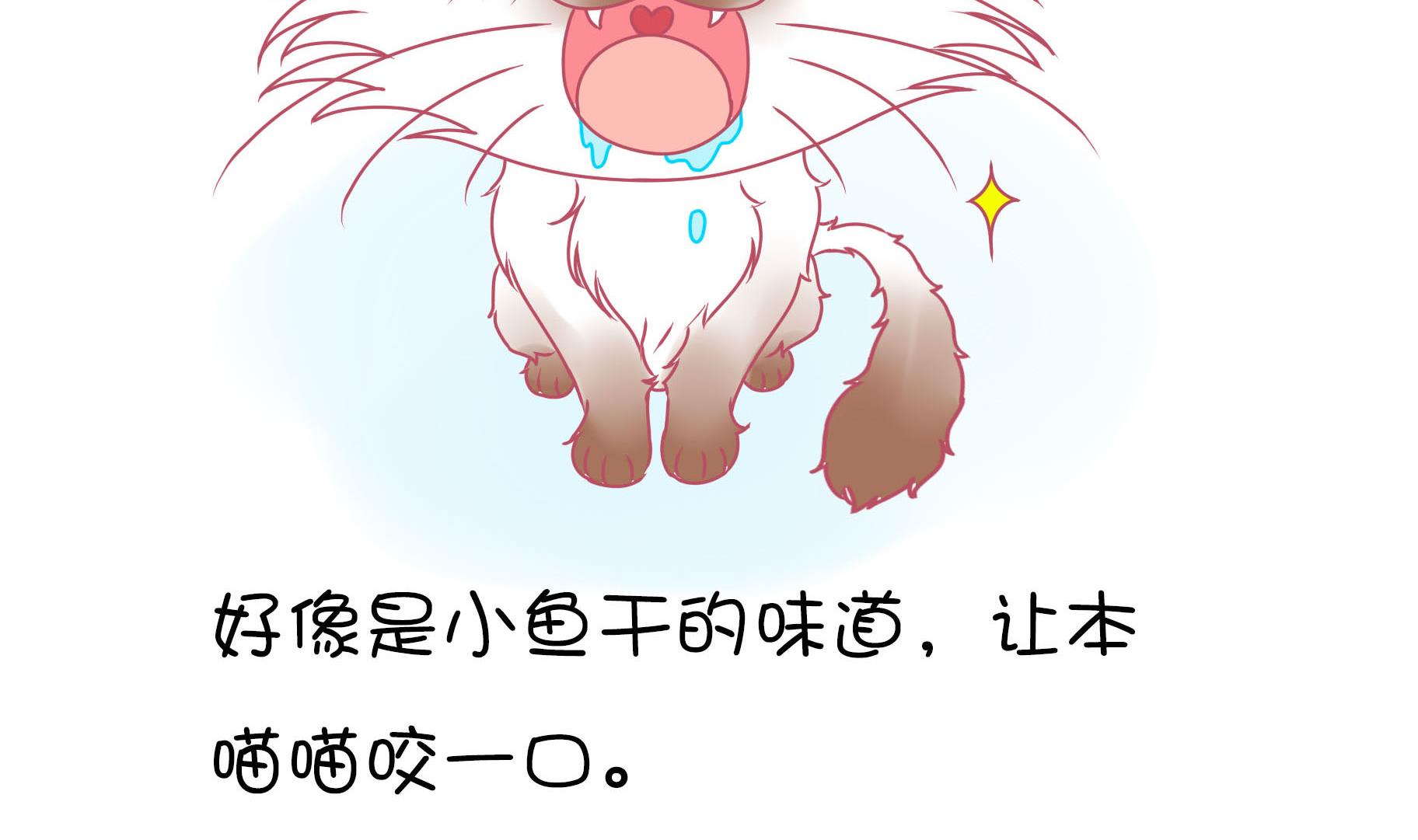 第14话 失落的嗨弟 1-第14话