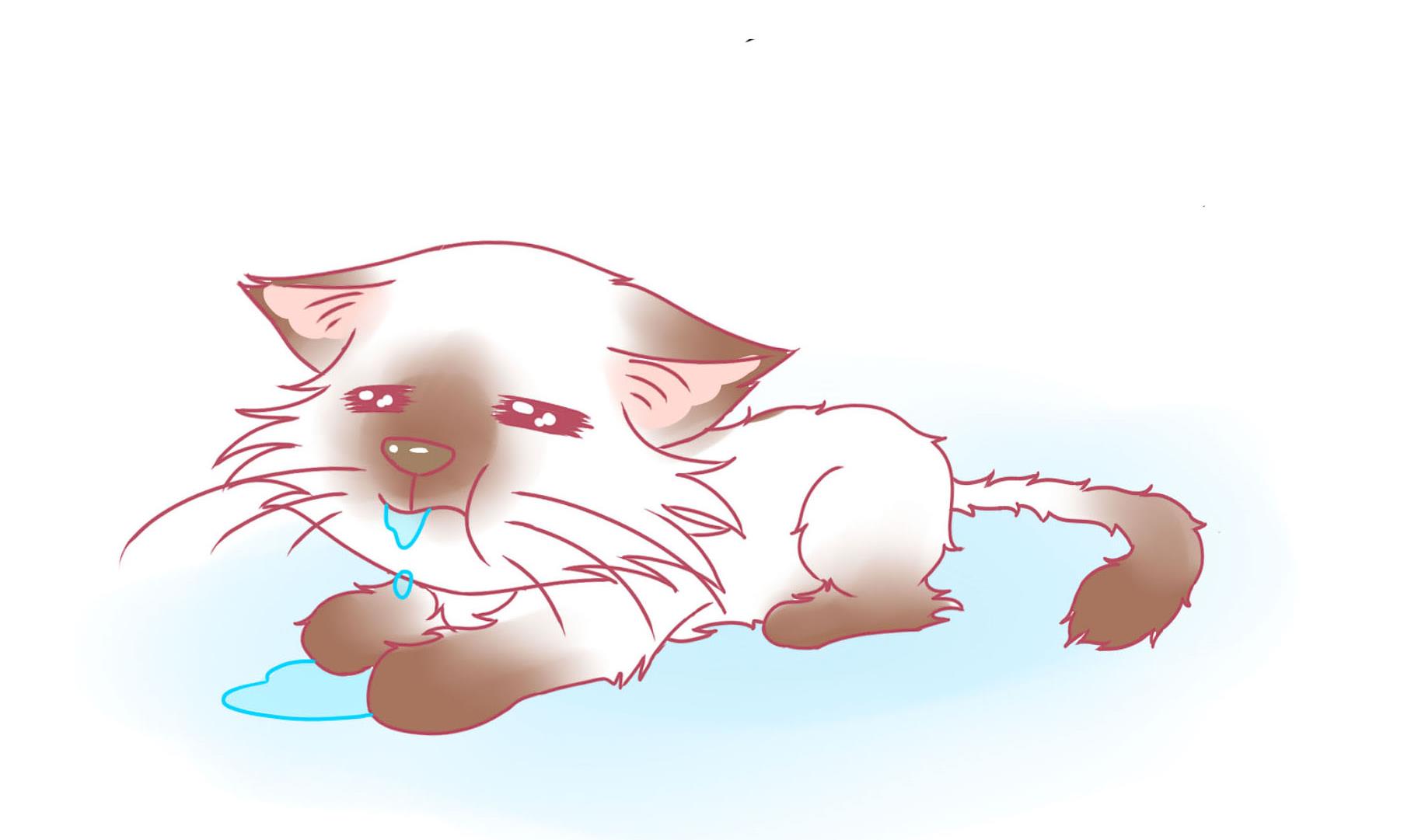 第14话 失落的嗨弟 1-第14话