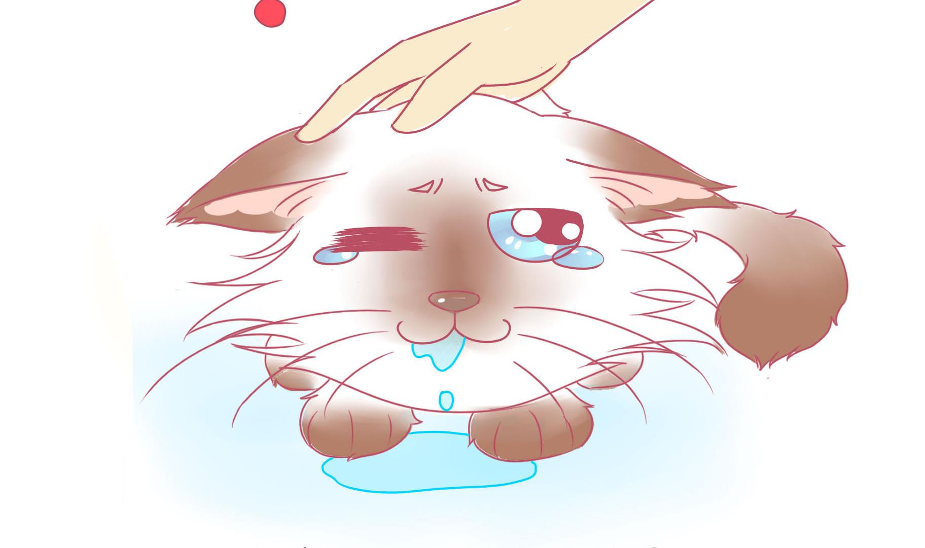 第14话 失落的嗨弟 1-第14话