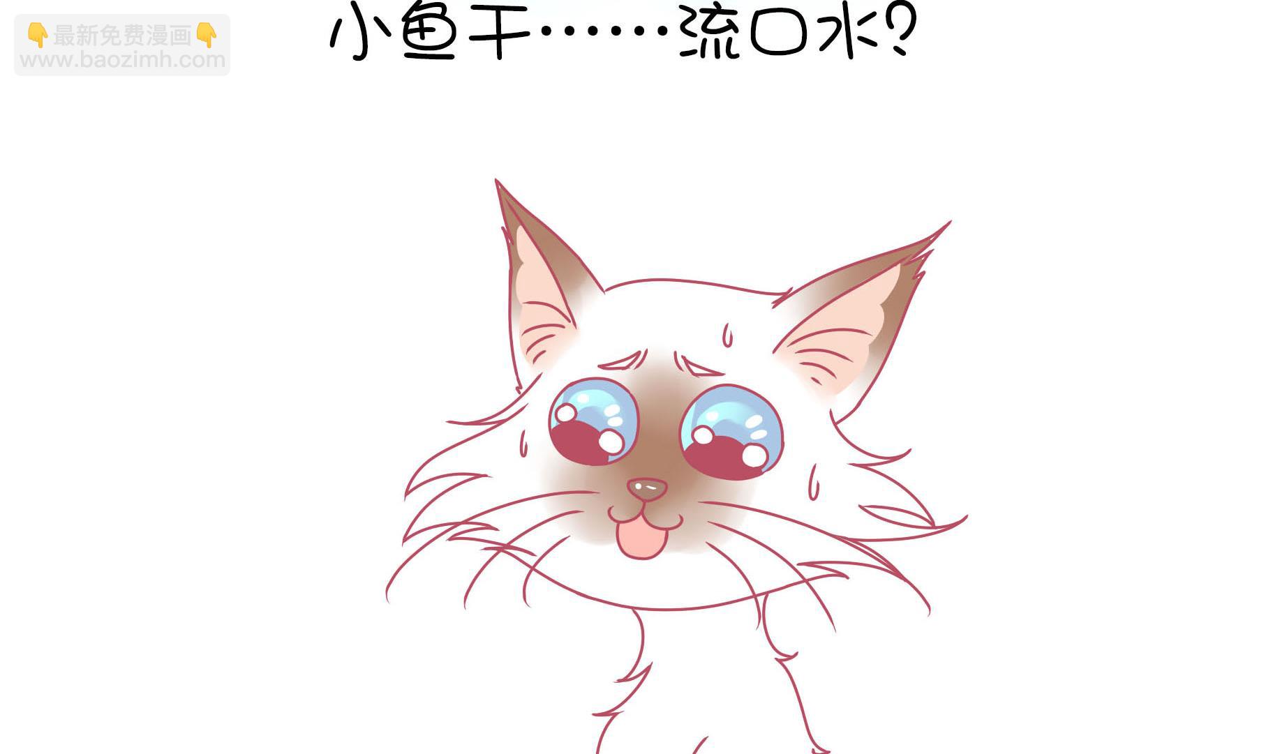 第14话 失落的嗨弟 1-第14话