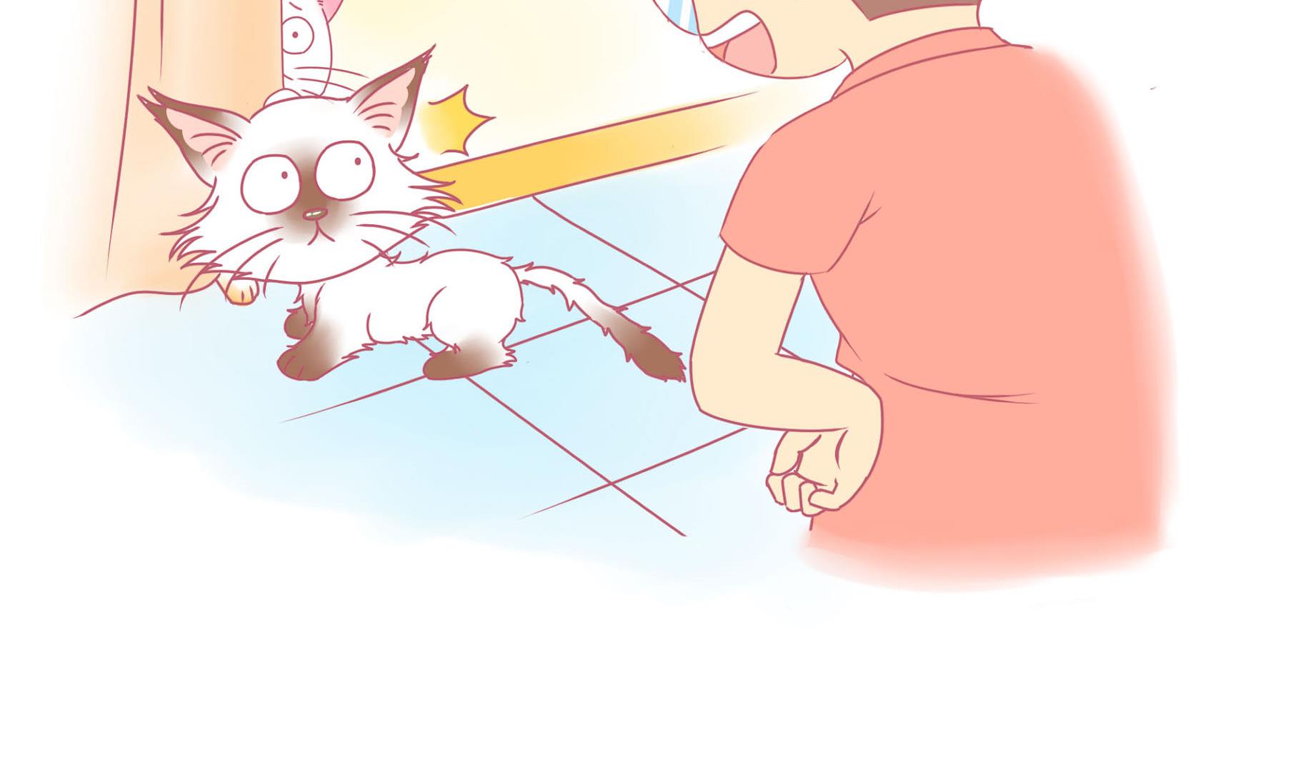 第16话 新伙伴豆沙 1-第16话