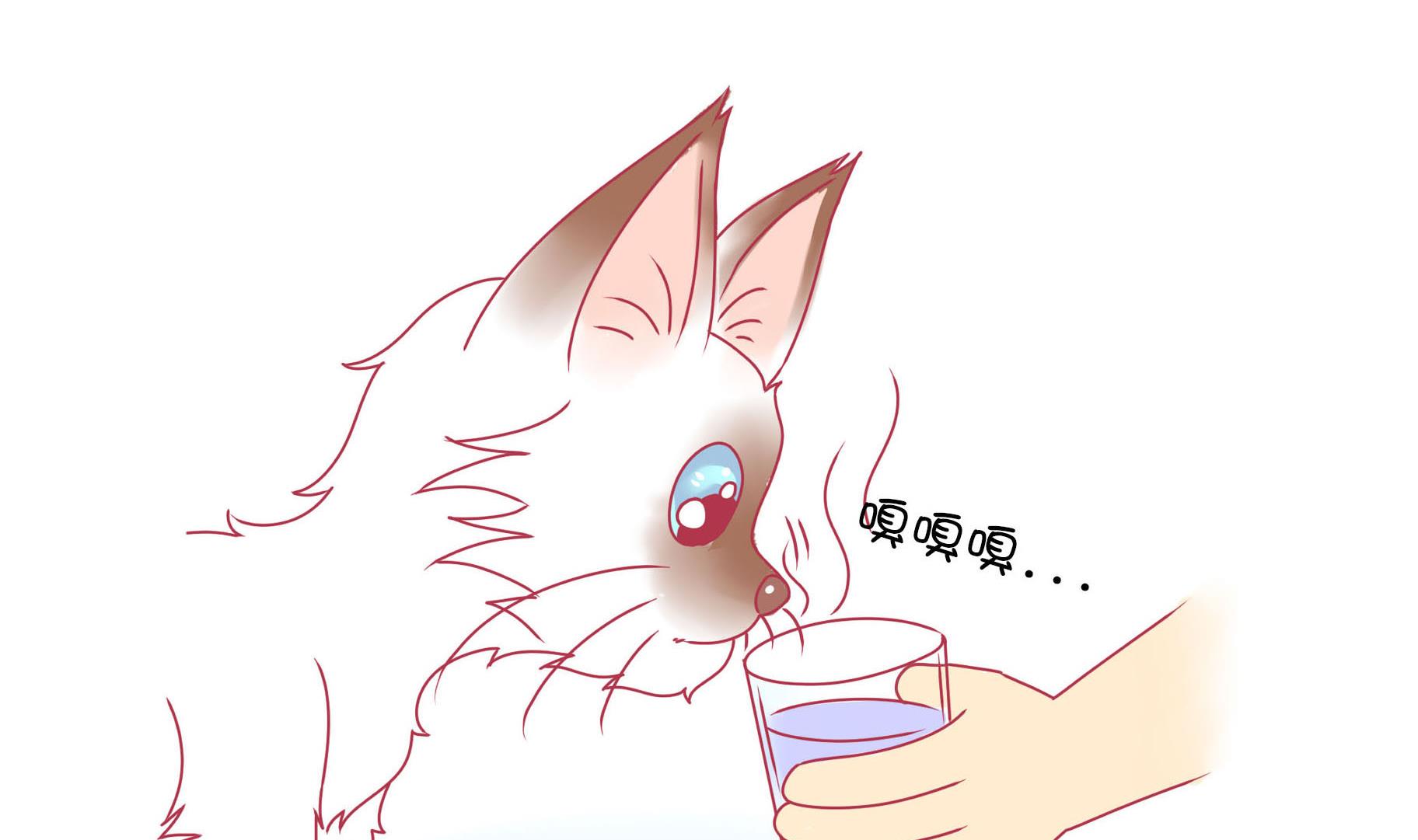 第16话 新伙伴豆沙 1-第16话