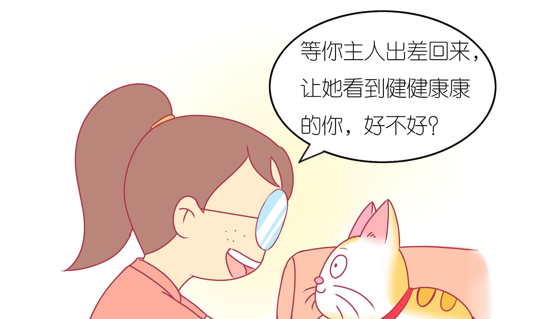 第16话 新伙伴豆沙 1-第16话