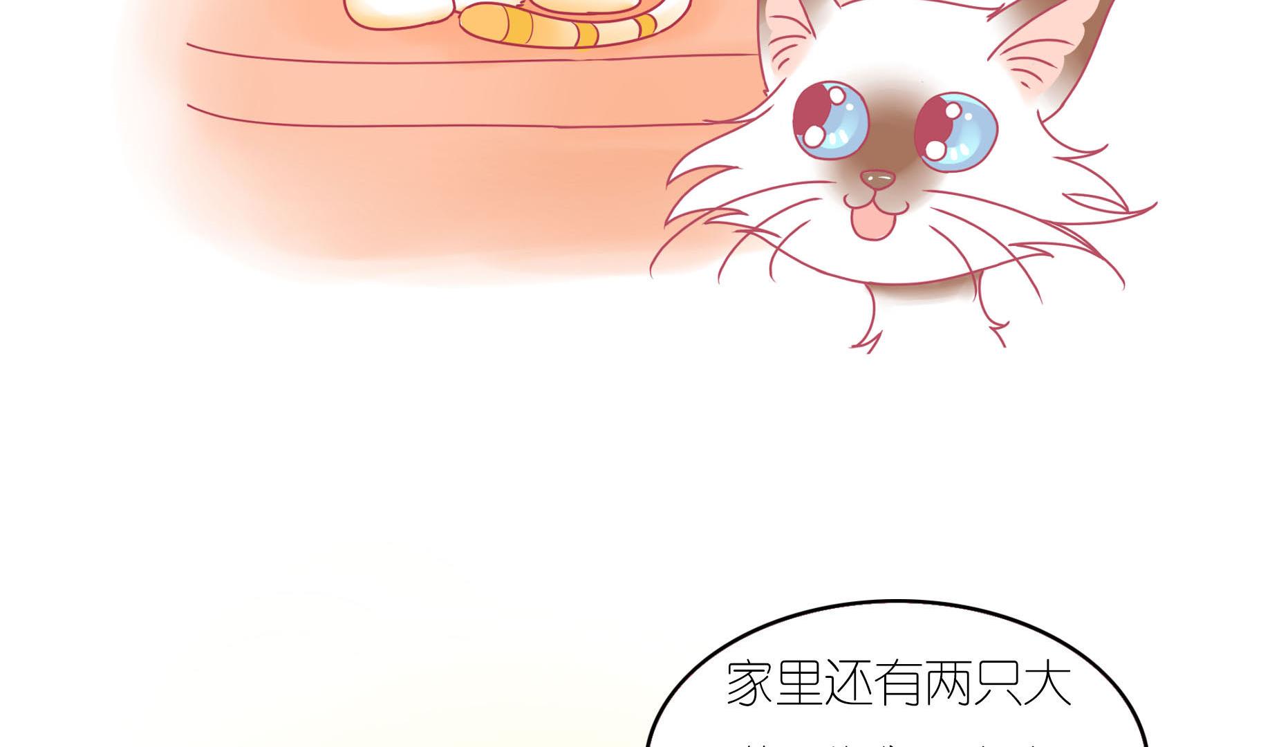 第16话 新伙伴豆沙 1-第16话