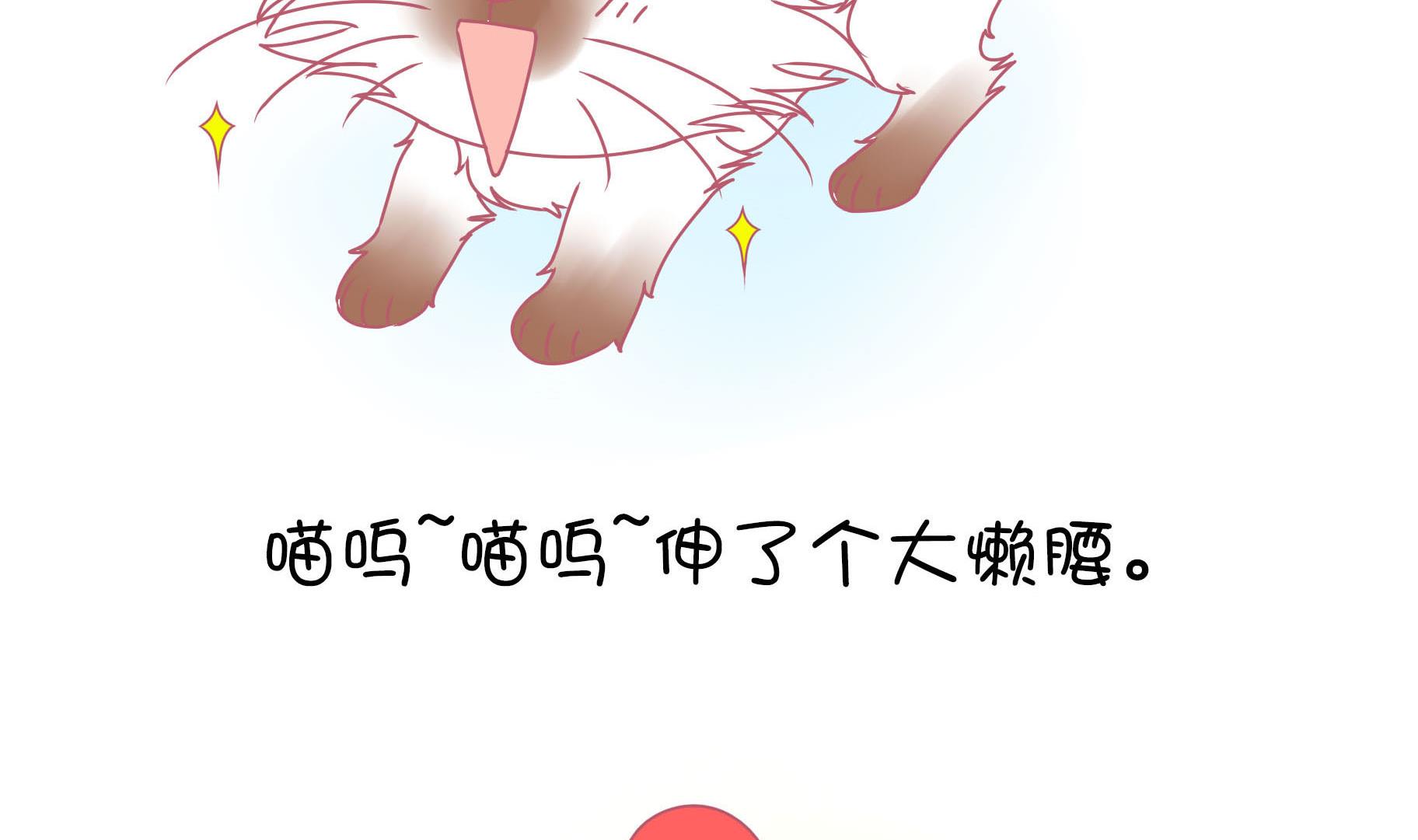 第16话 新伙伴豆沙 1-第16话