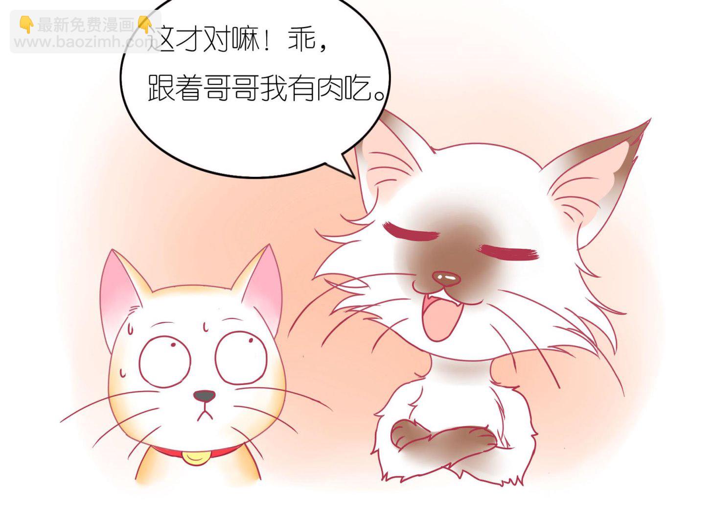 第16话 新伙伴豆沙 1-第16话