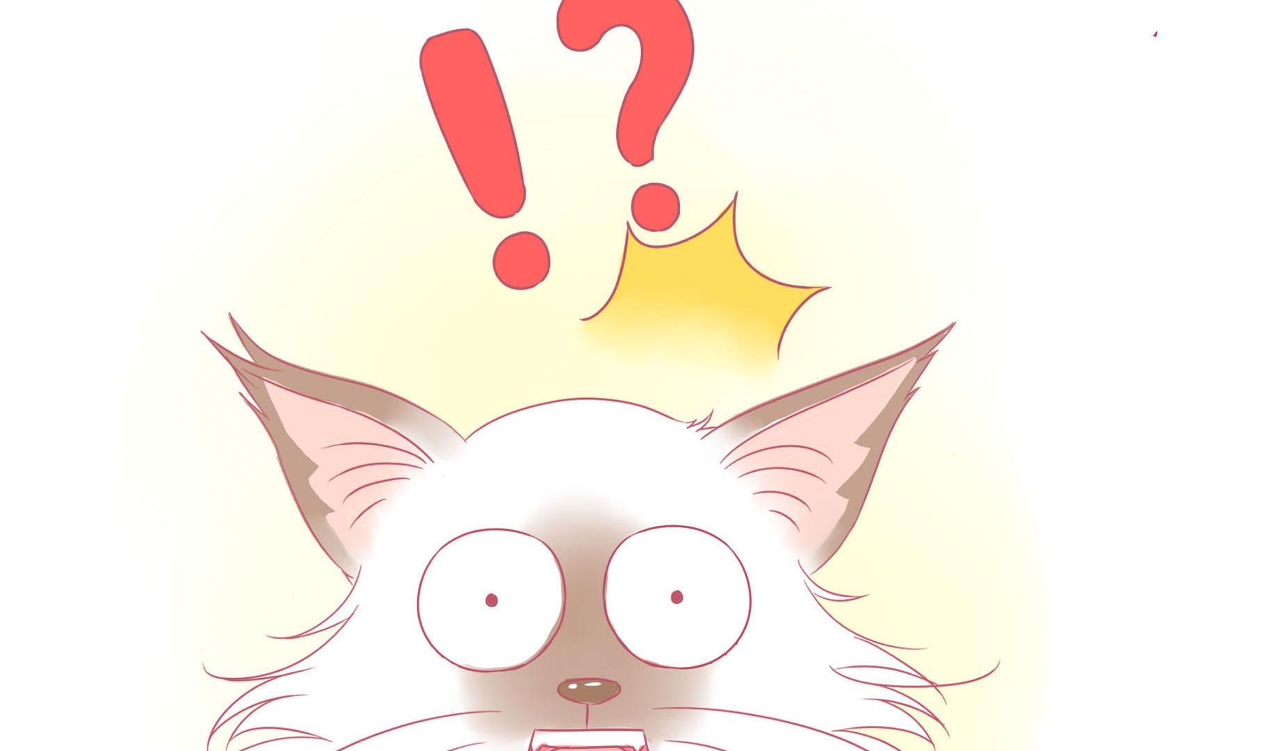 第16话 新伙伴豆沙 1-第16话