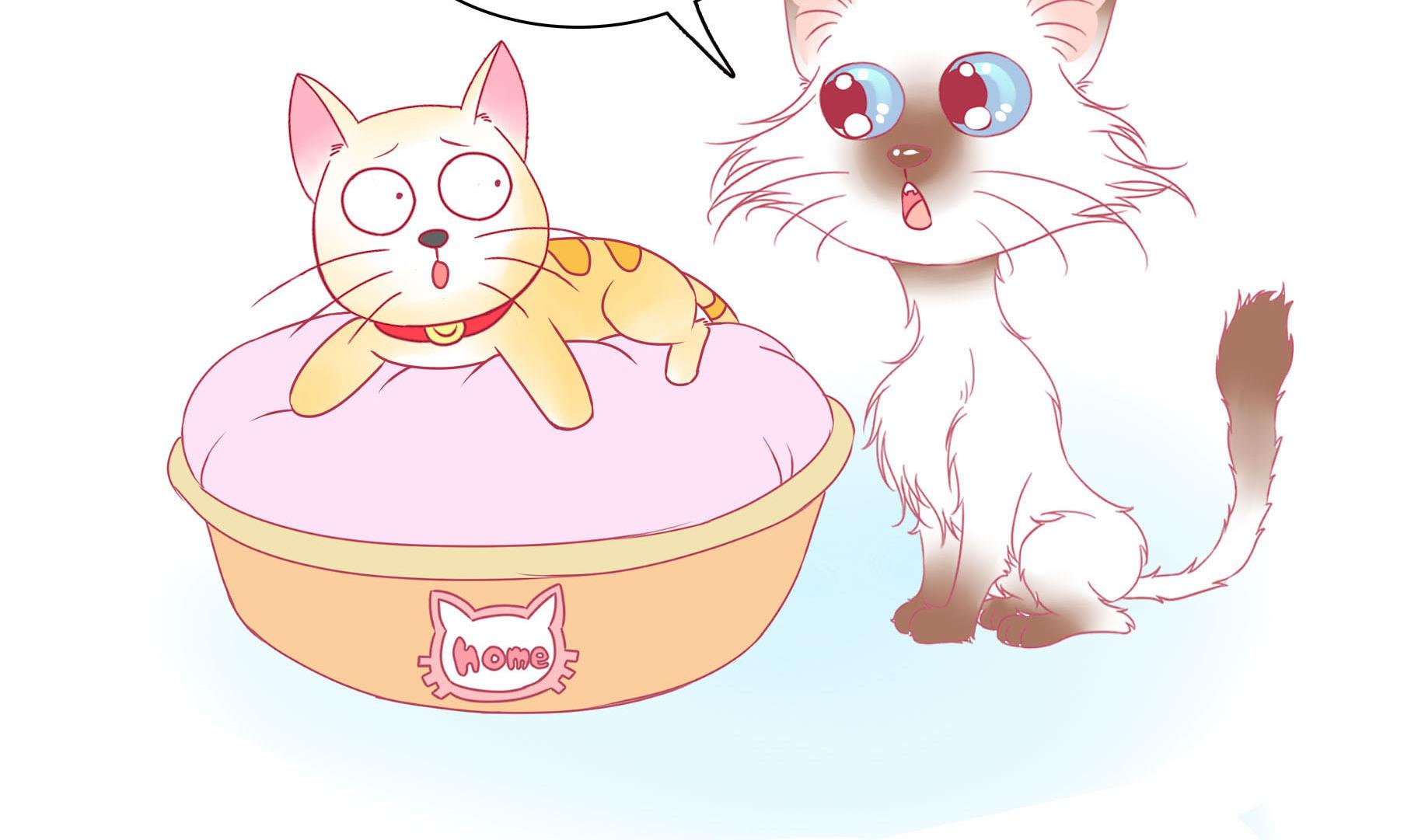 第18话 睡前故事 1-第18话