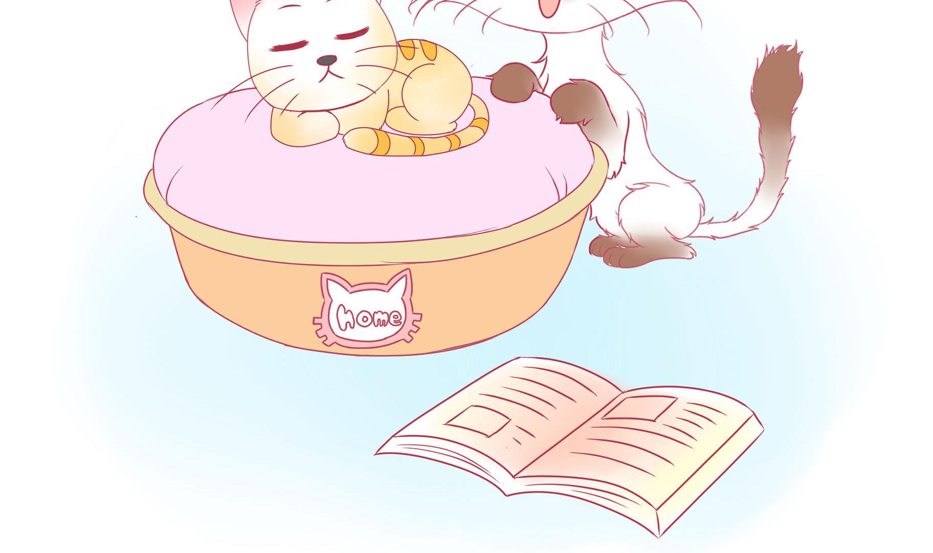 第18话 睡前故事 1-第18话