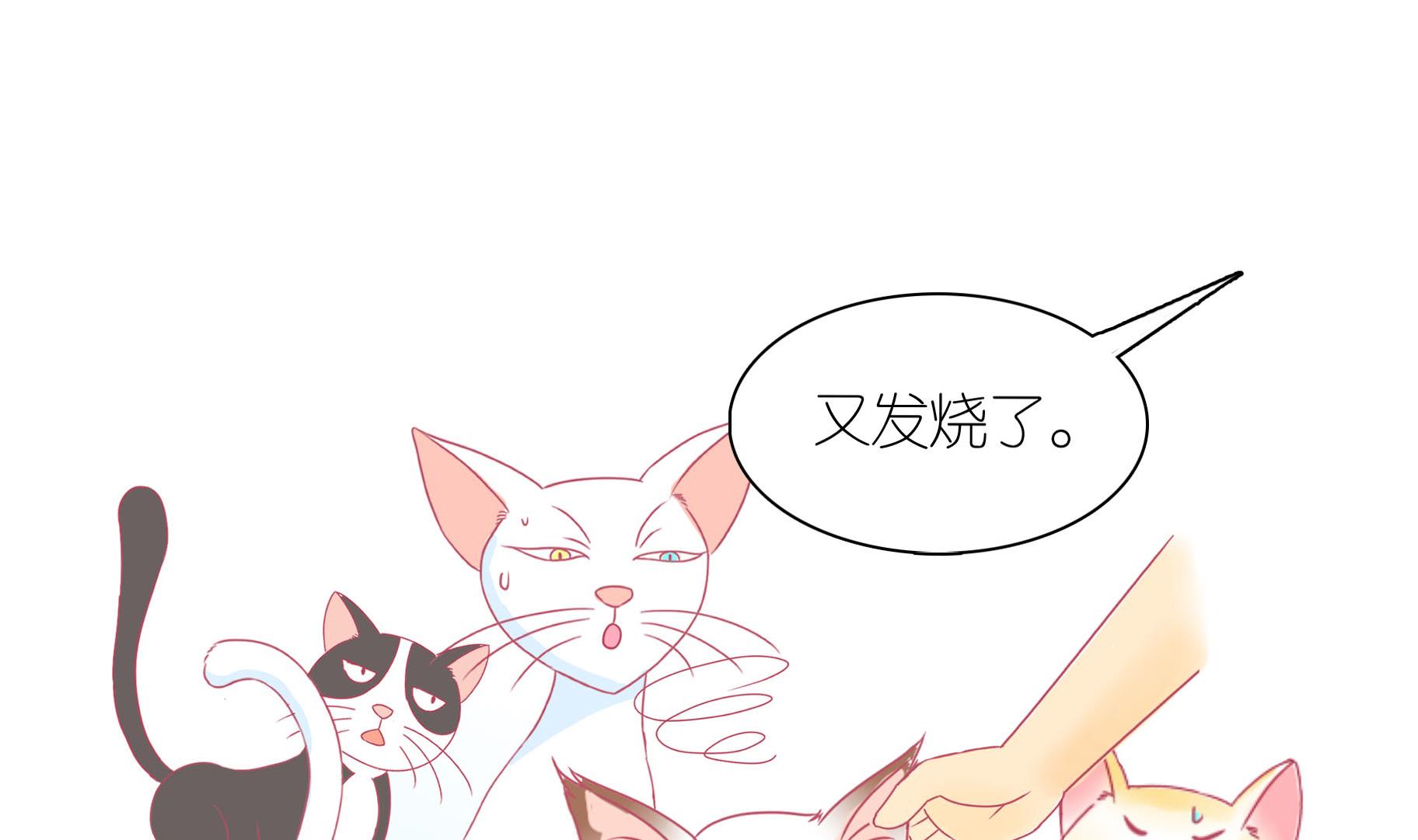 第22话 人见人爱-第22话