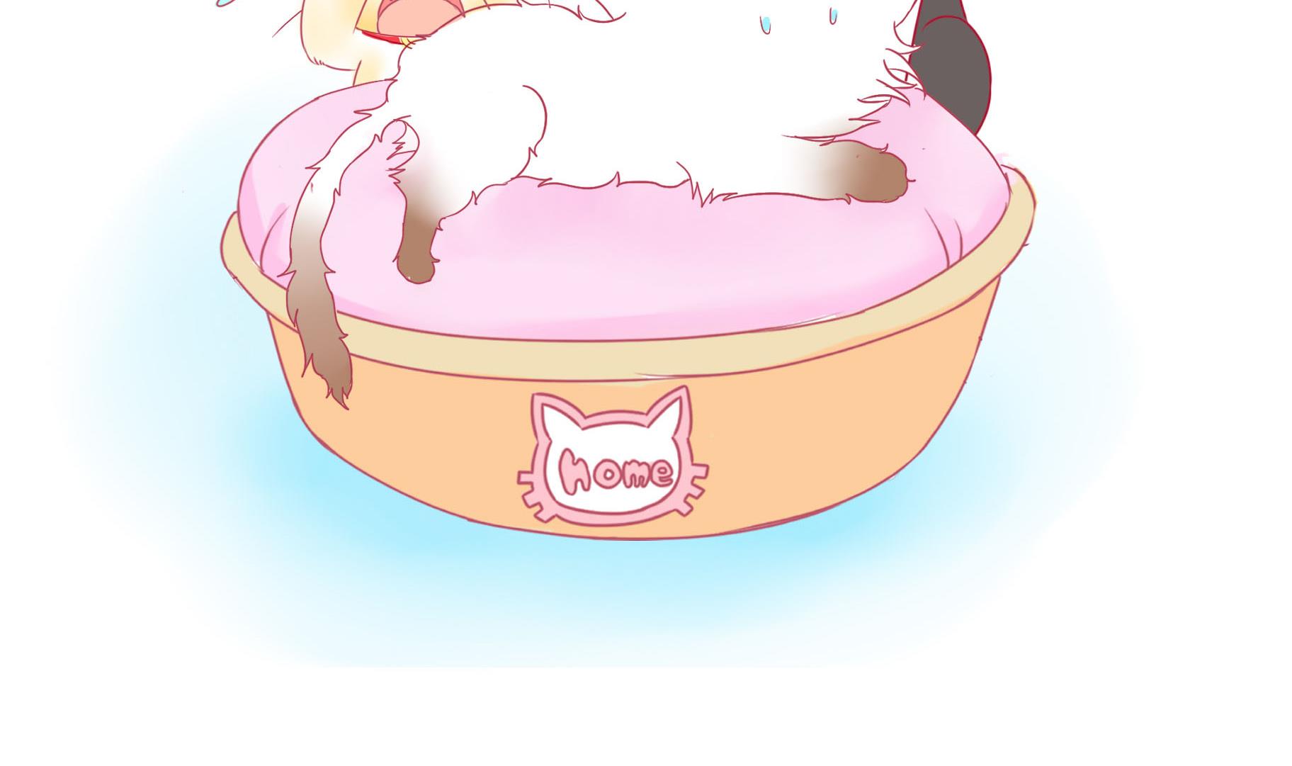 第22话 人见人爱-第22话