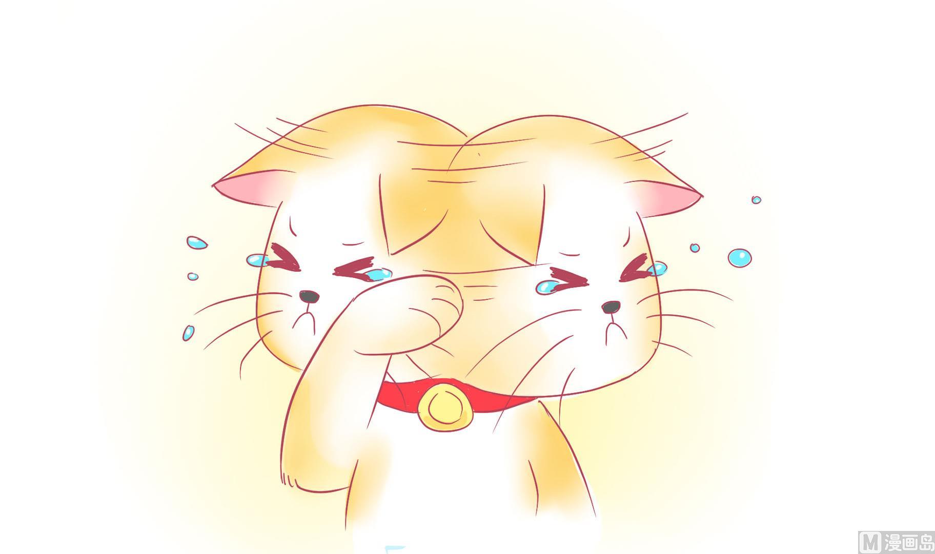 第22话 人见人爱-第22话