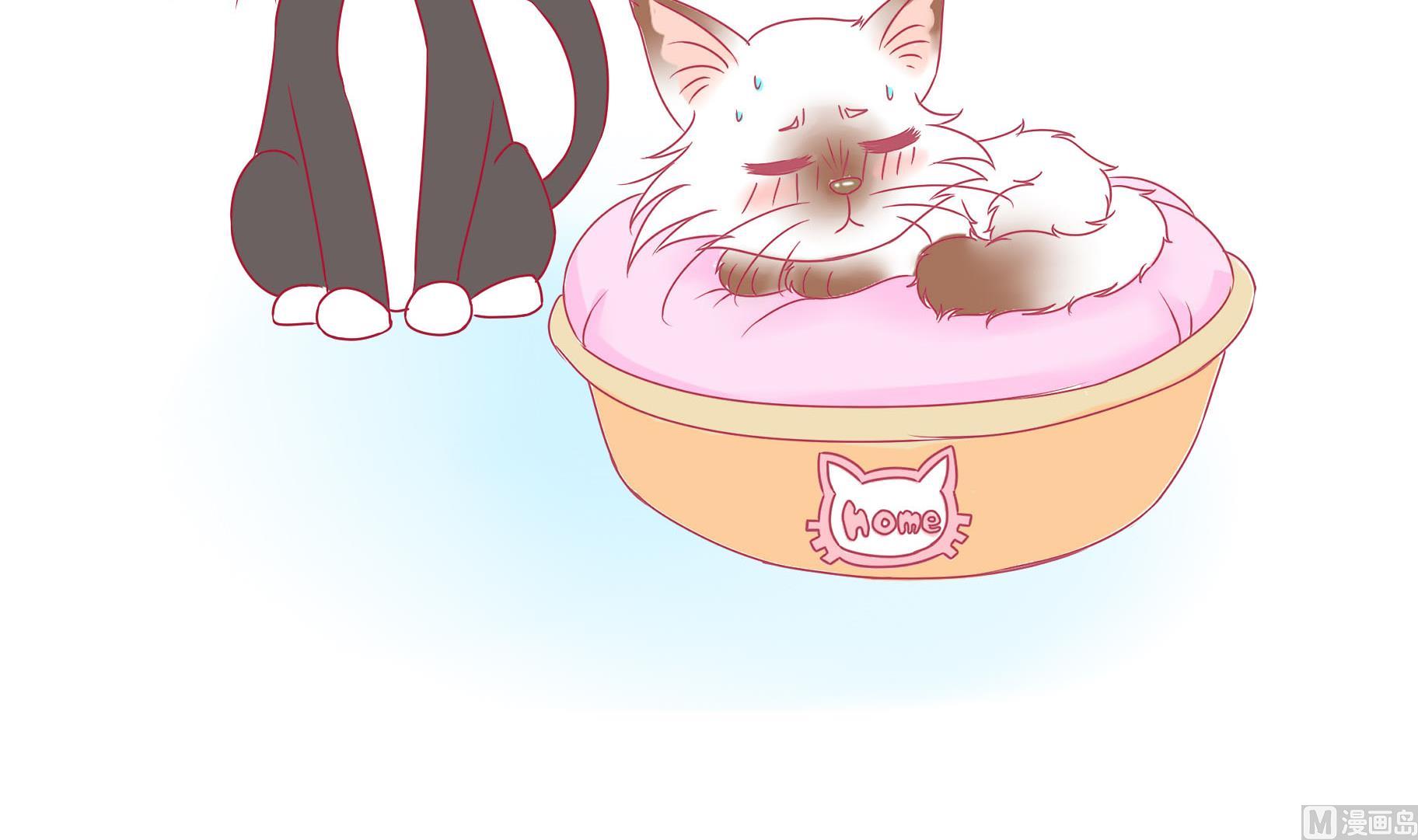 第22话 人见人爱-第22话