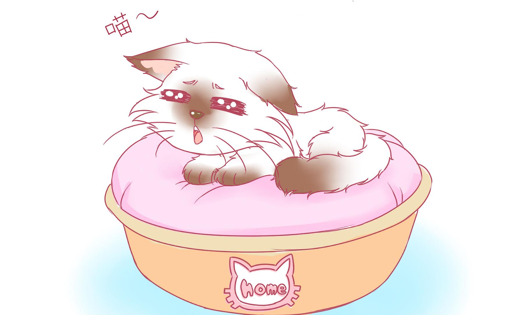 第22话 人见人爱-第22话