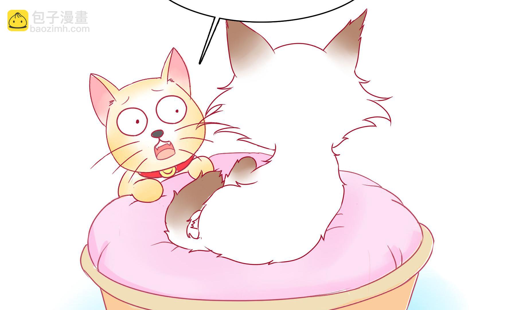 第22话 人见人爱-第22话