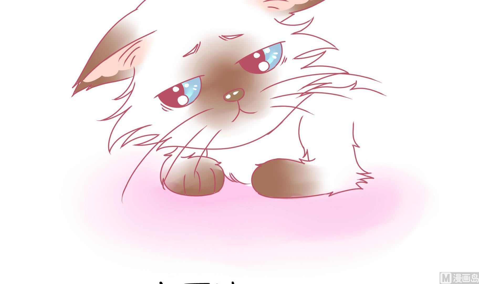 第22话 人见人爱-第22话