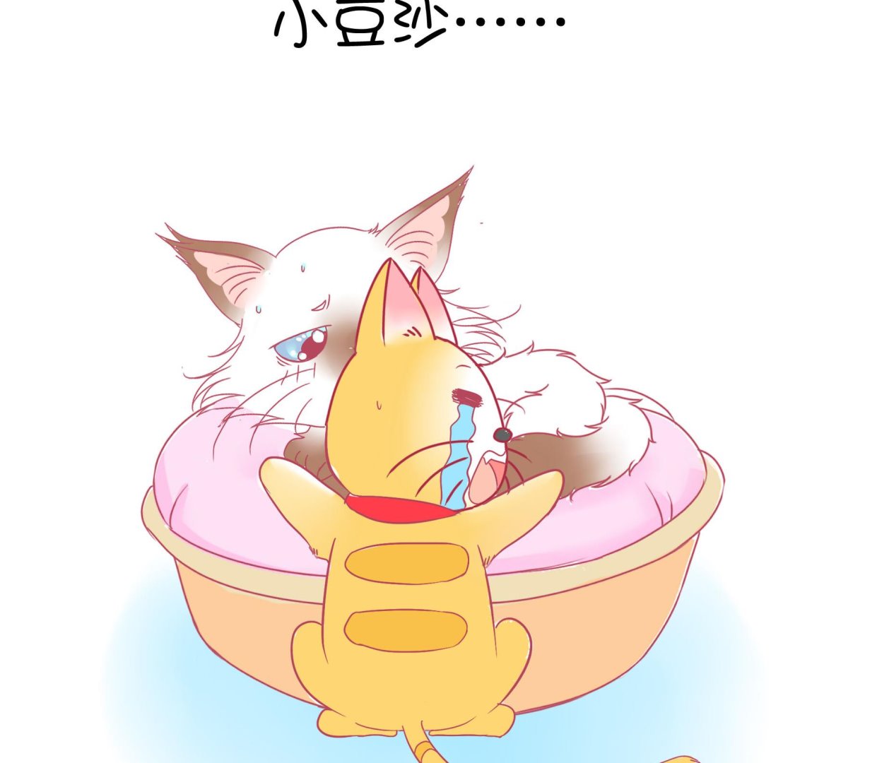 第22话 人见人爱-第22话