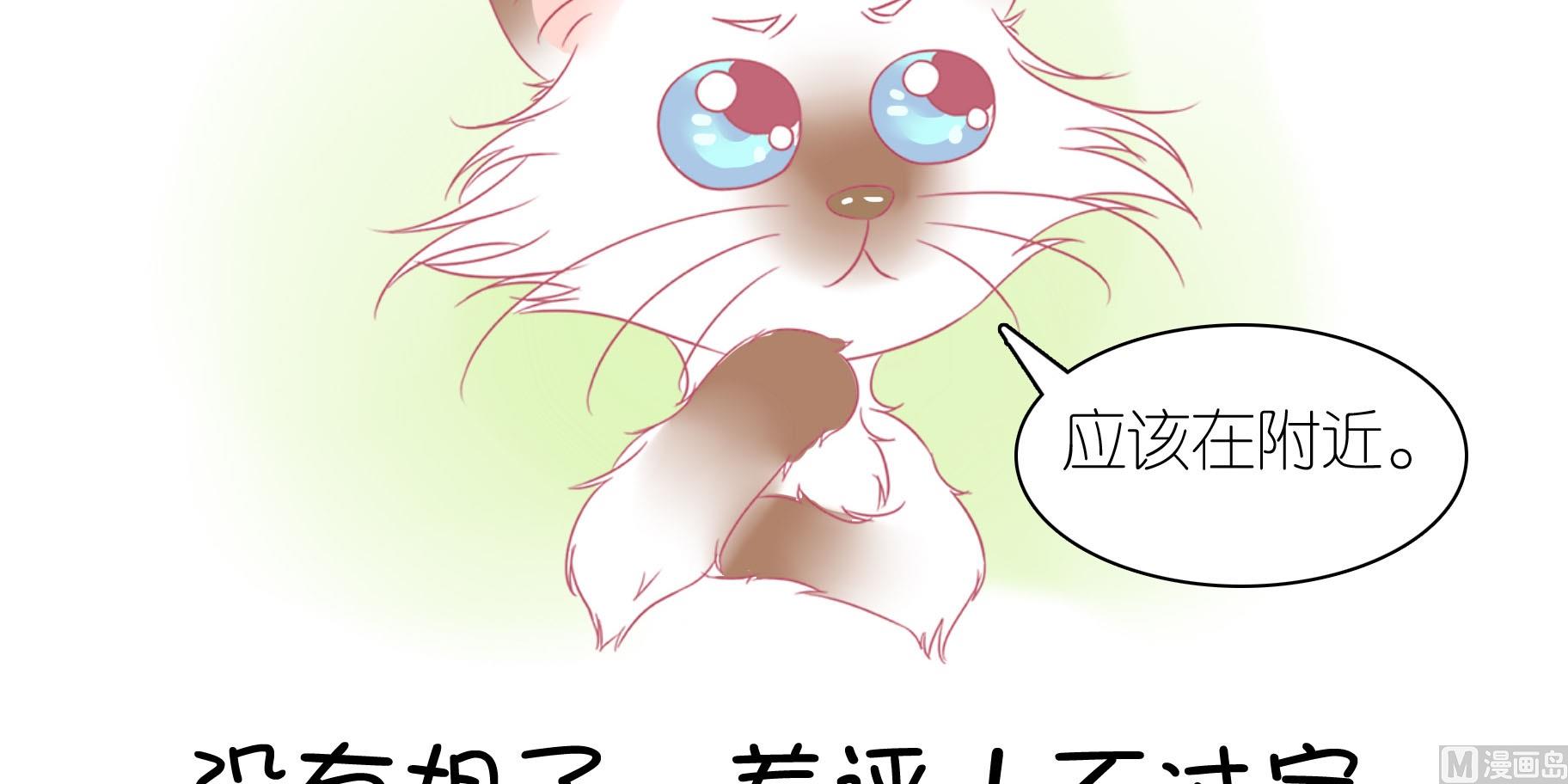 第24话 愉快的春游 1-第24话