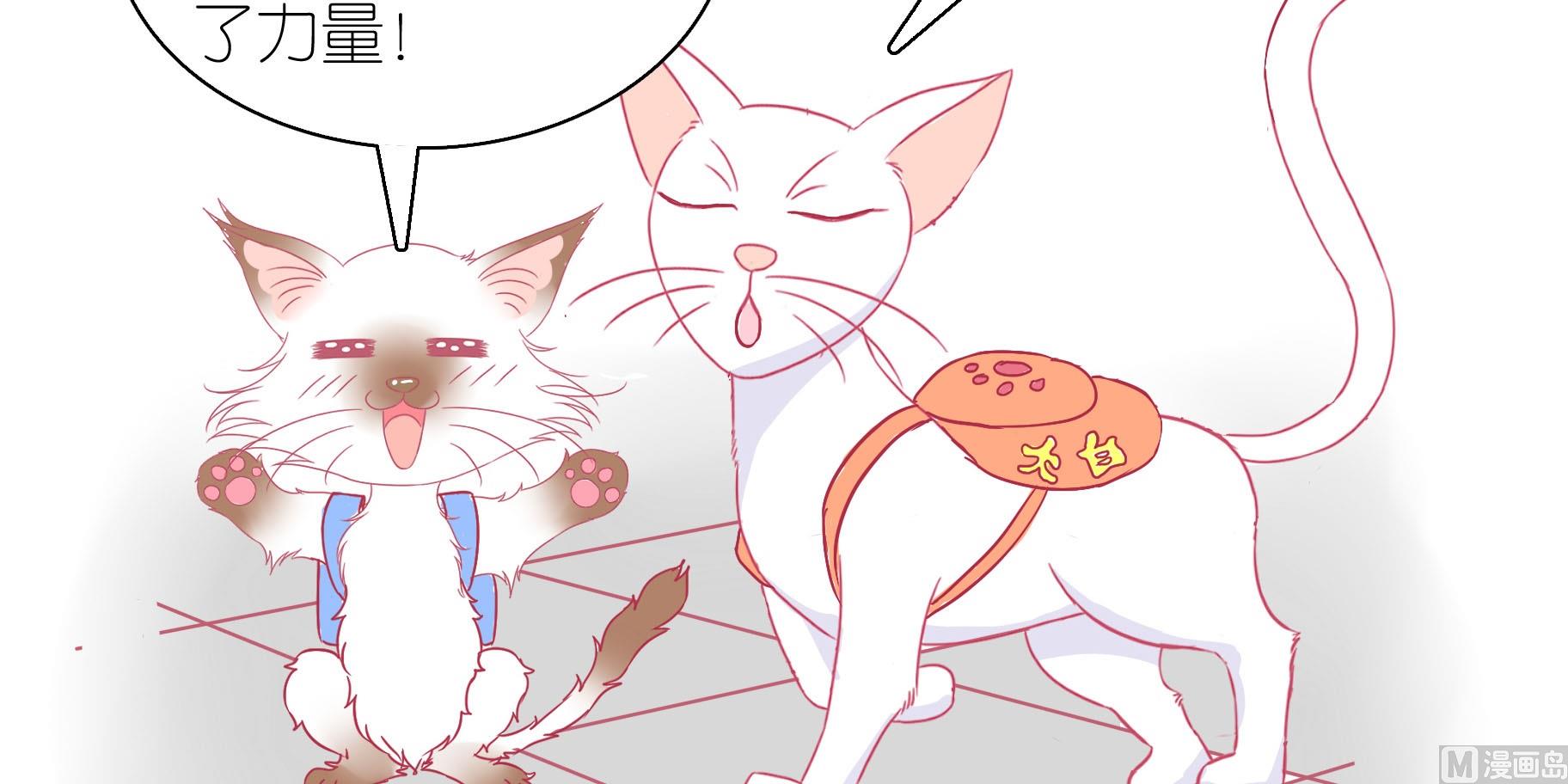 第24话 愉快的春游 1-第24话