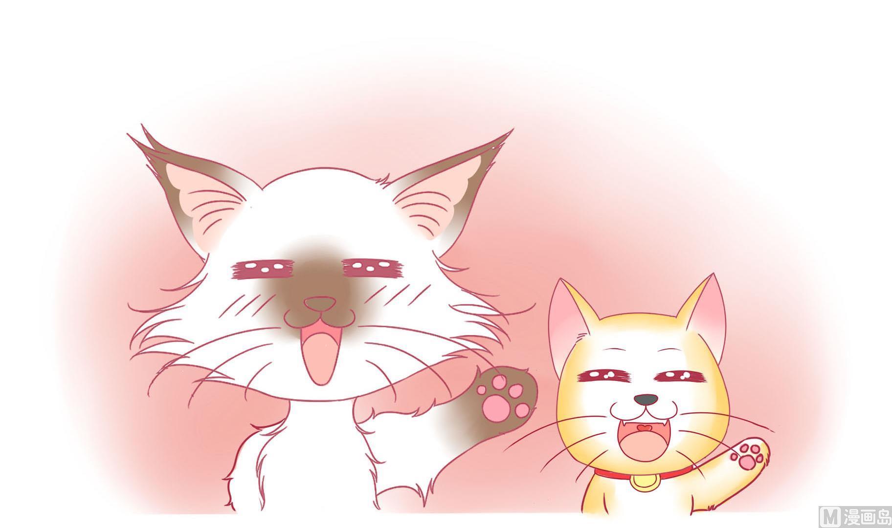 第28话 被发现了-第28话