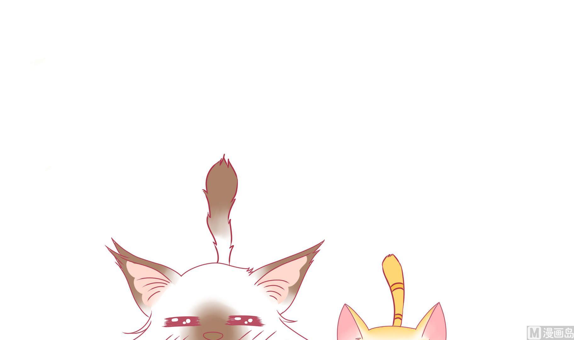 第28话 被发现了-第28话