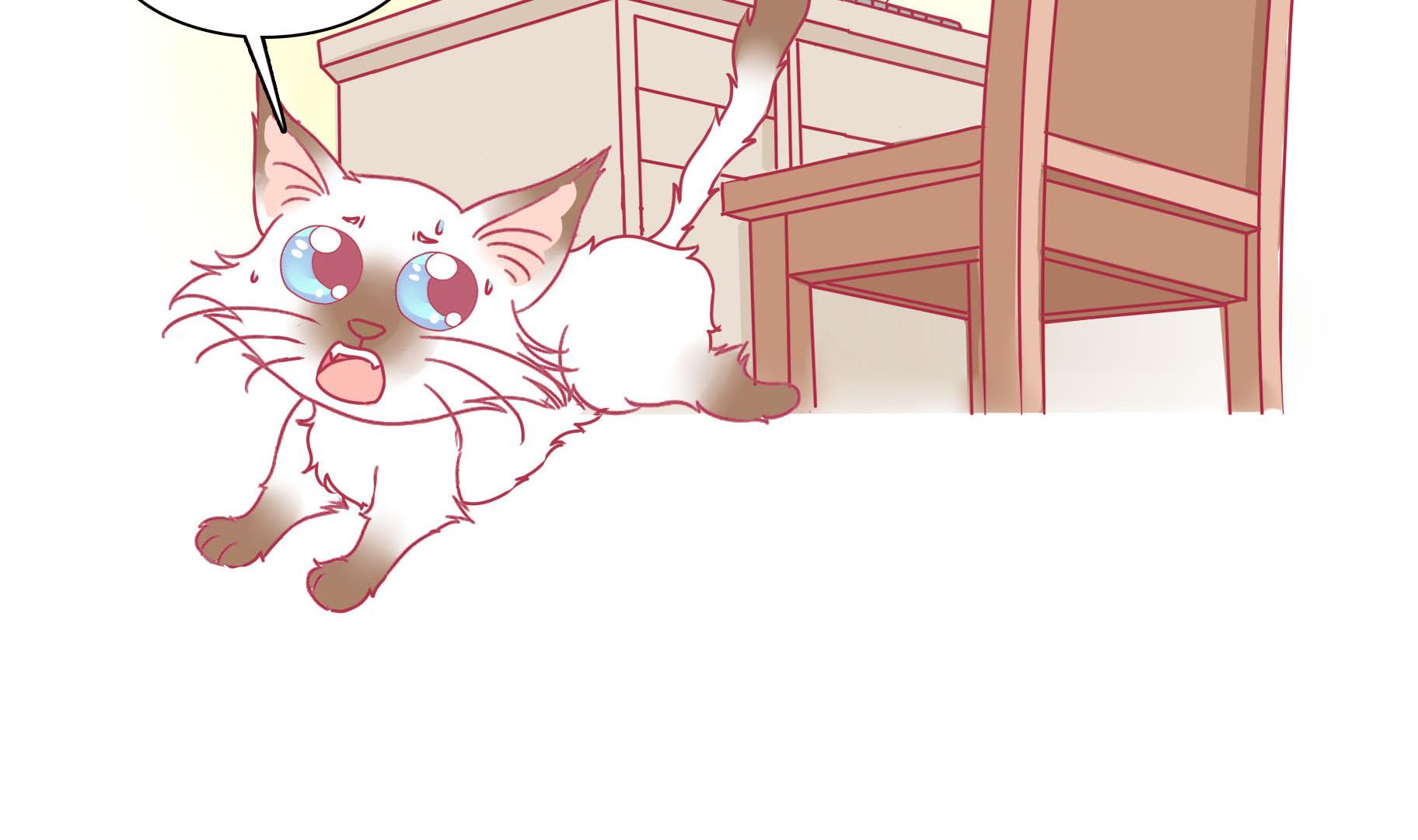 第28话 被发现了-第28话