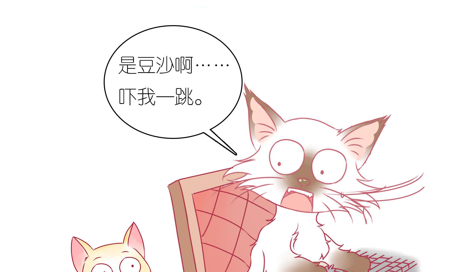 第28话 被发现了-第28话