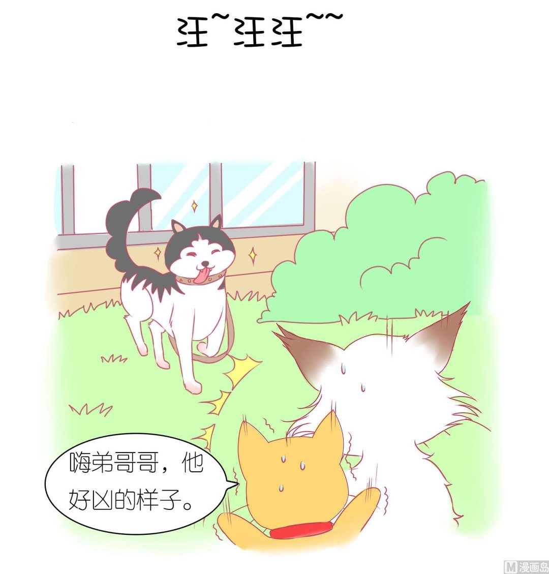 第30话 学好外语很重要 1-第30话