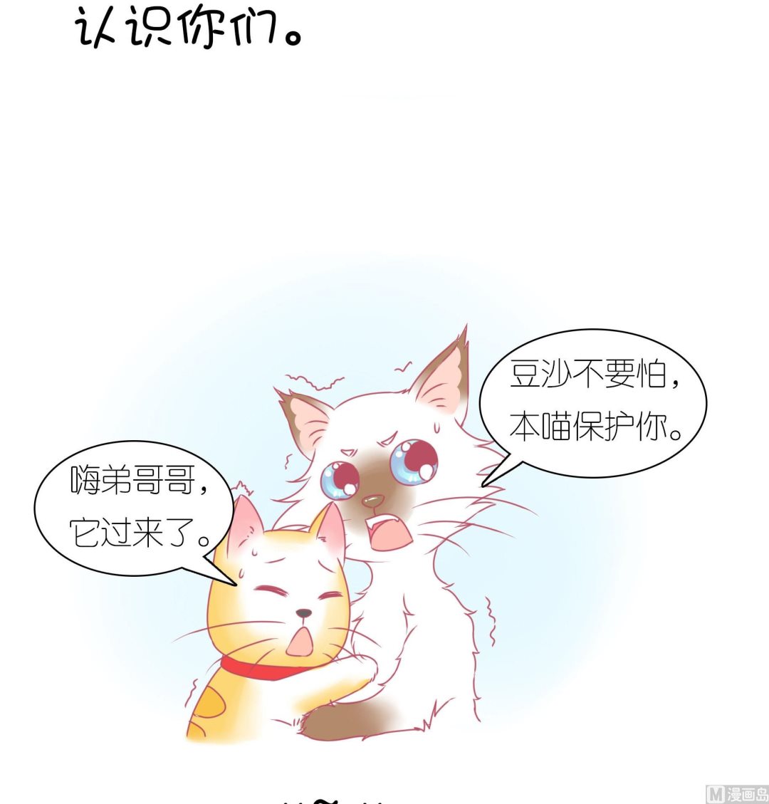 第30话 学好外语很重要 1-第30话