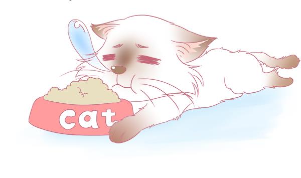 第4话 增肥计划 1-第4话