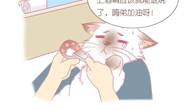 第4话 增肥计划 1-第4话