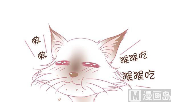 第4话 增肥计划 1-第4话