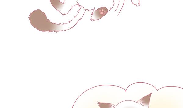 第4话 增肥计划 1-第4话