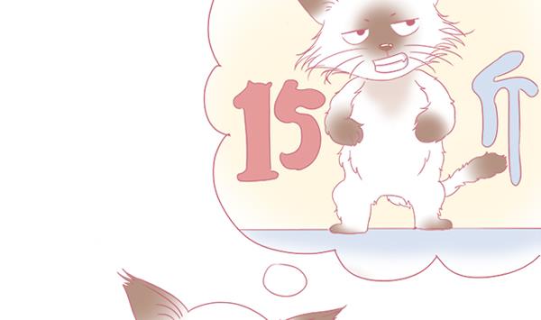 第4话 增肥计划 1-第4话