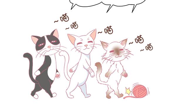 第4话 增肥计划 1-第4话