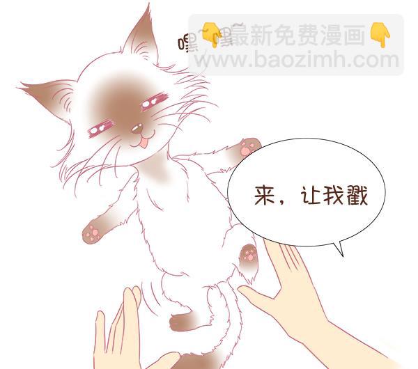 第4话 增肥计划 1-第4话