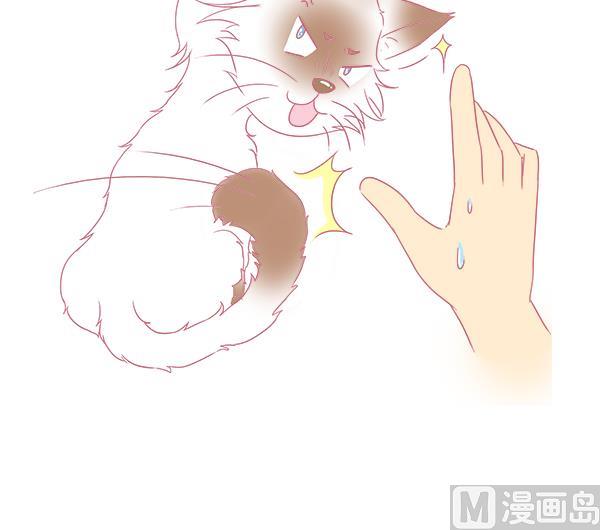 第4话 增肥计划 1-第4话